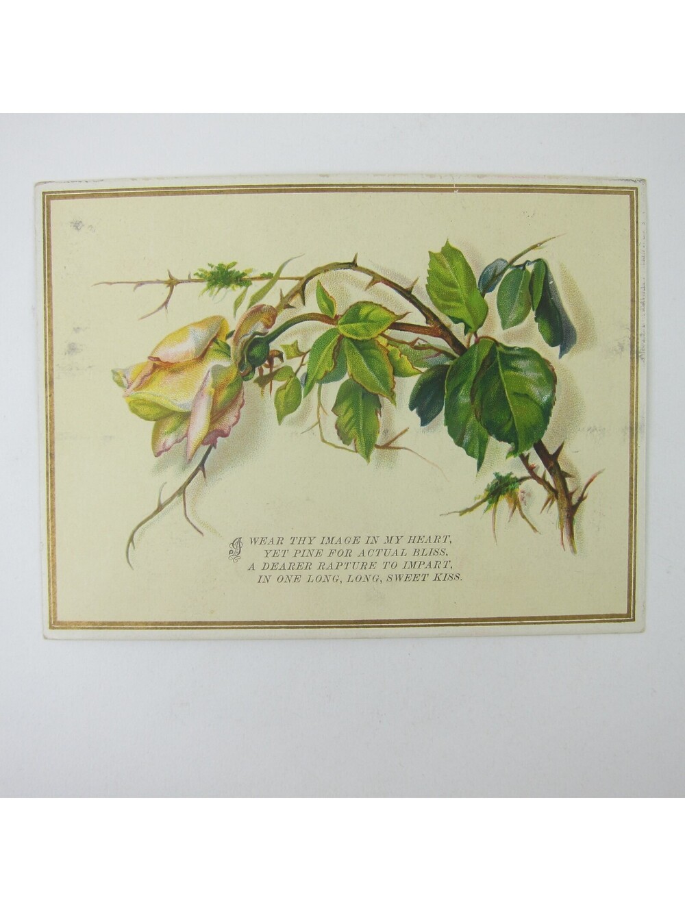 Victorian Greeting Card Valentine Yellow Rose Flower Green Leaves Poem Antique